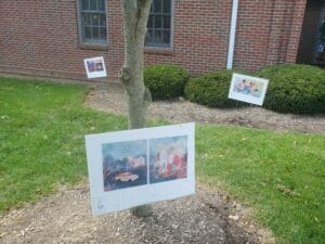 Storywalk trail at the Powell branch library